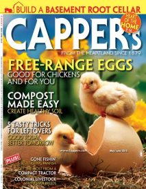 Open Session September/October 2010 Image